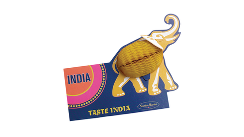 TASTE INDIA.png