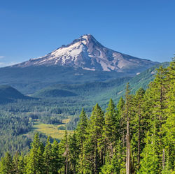 Clackamas.jpg