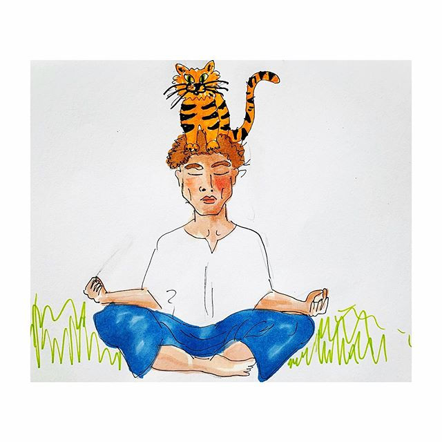 Cat-meditation (2020)