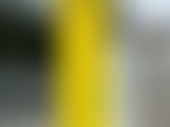 春の全国交通安全運動