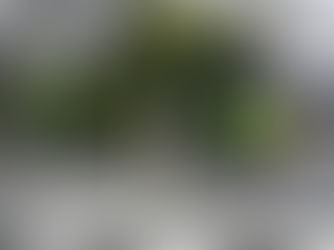 秋の交通安全週間が始まりました!