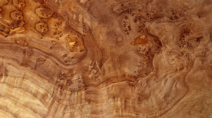 Bird's Eye Maple.jpg