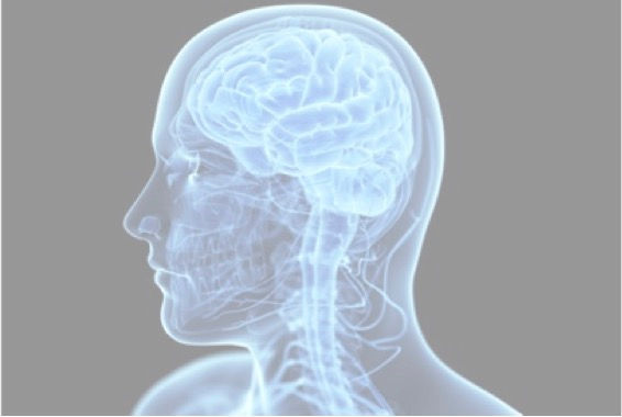 slide 10 brain person.jpg