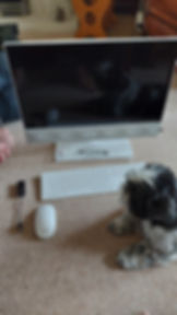 Dog and computer
