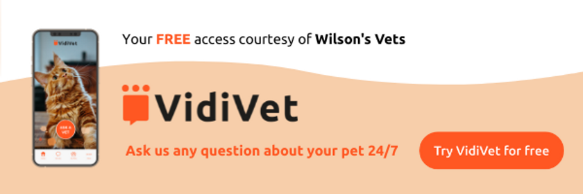 Email Footer Designs.png