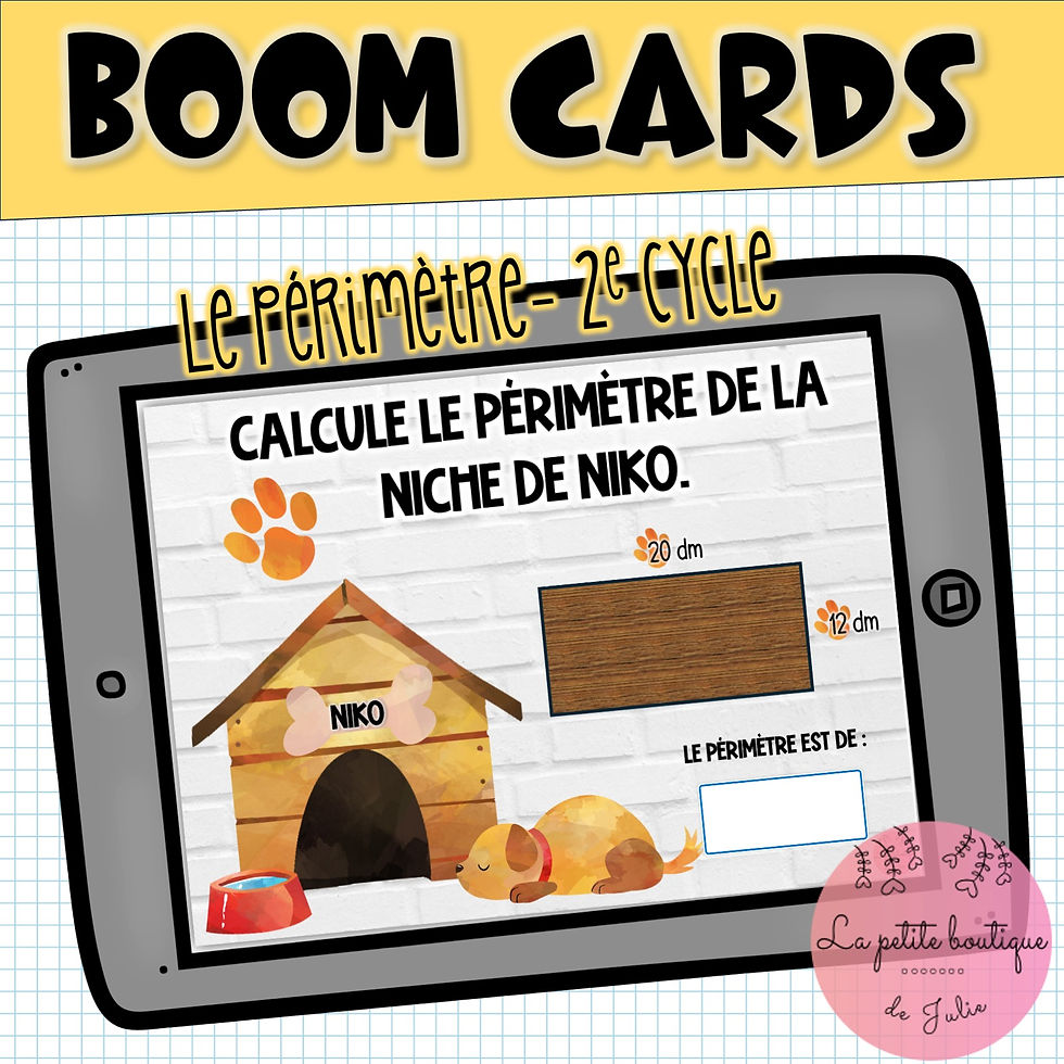 Boom cards -Le périmètre des niches