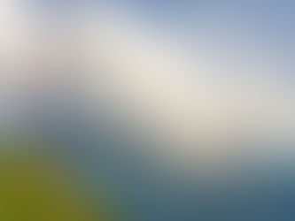 New to us: Swiss German