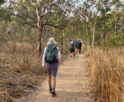 Single file we go back to the truck after a long day hiking to two waterfalls.