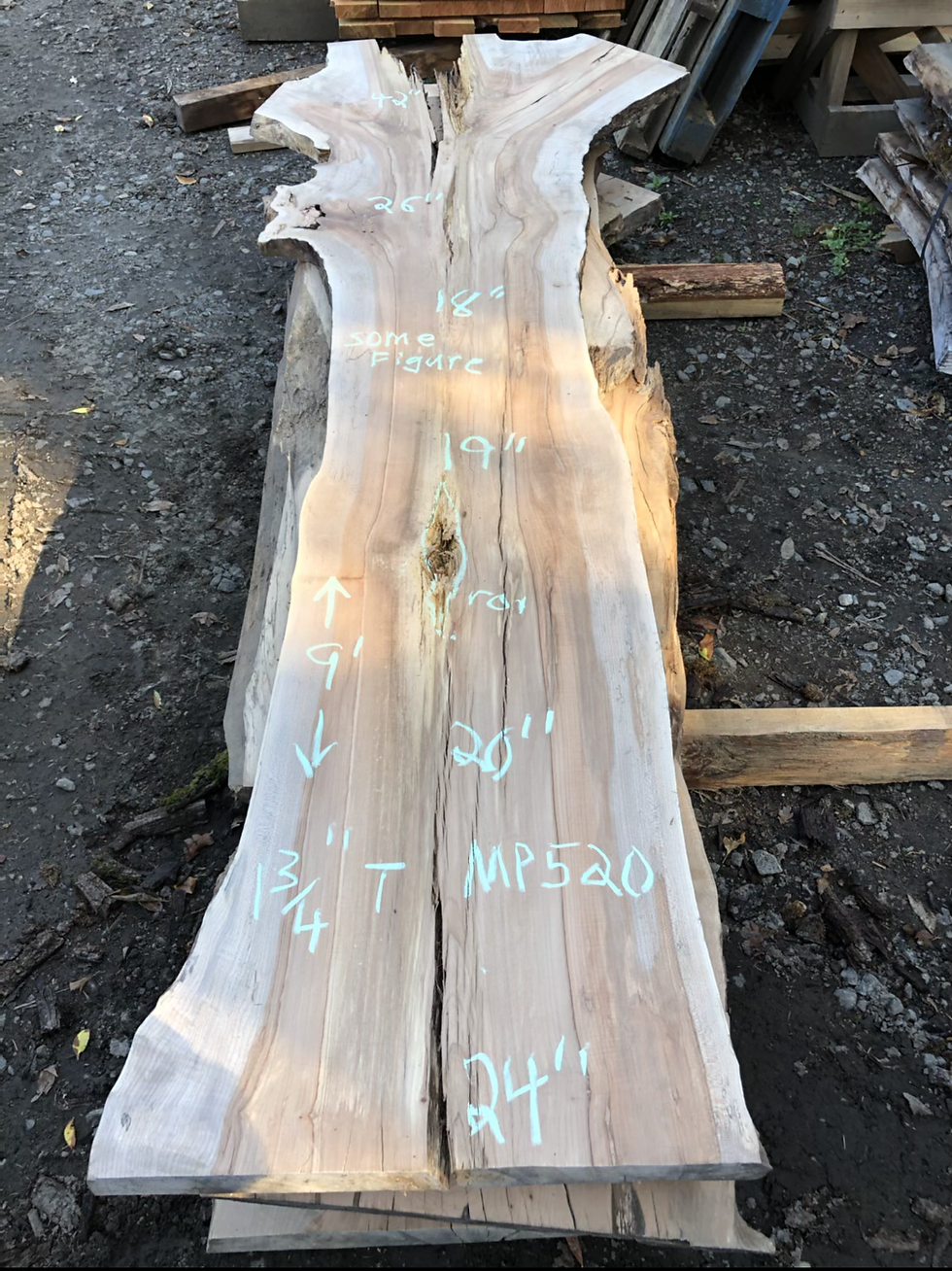 Maple 520 (1.75”x18-42”x9’) 