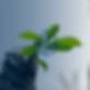 ORGANIC PRODUCT有机产品.png