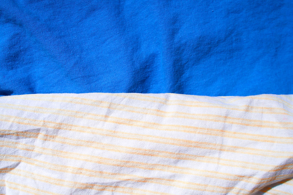 DSC05501 copy 2.jpg