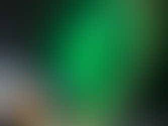 大阪府でイベント！