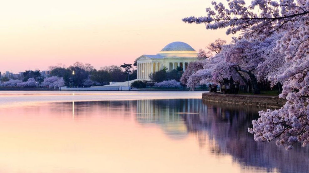Our Top Family Destinations for Spring Travel