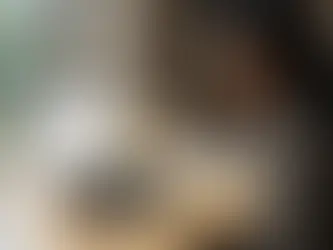 CAT aspirant analyzing mock test results with performance charts and analytics on laptop at study desk