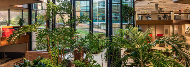 DGBC publiceert vergelijking ‘BREEAM-NL In-Use en WELL Building Standard’