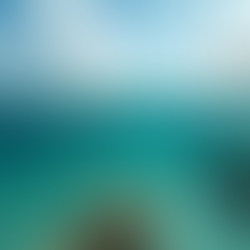 Join AquaFlame: Volunteer for Ocean Conservation Efforts