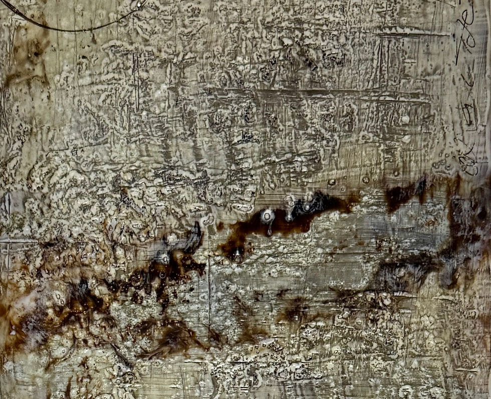 Encaustic, cold wax, India ink, gold foil on cradled wood panel                                 