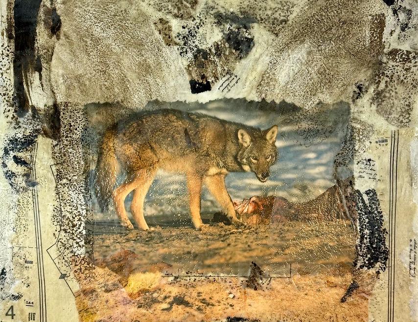 Collage & Mixed Media