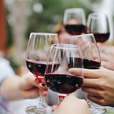 Wine Toasting