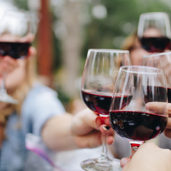 Brindisi di vino