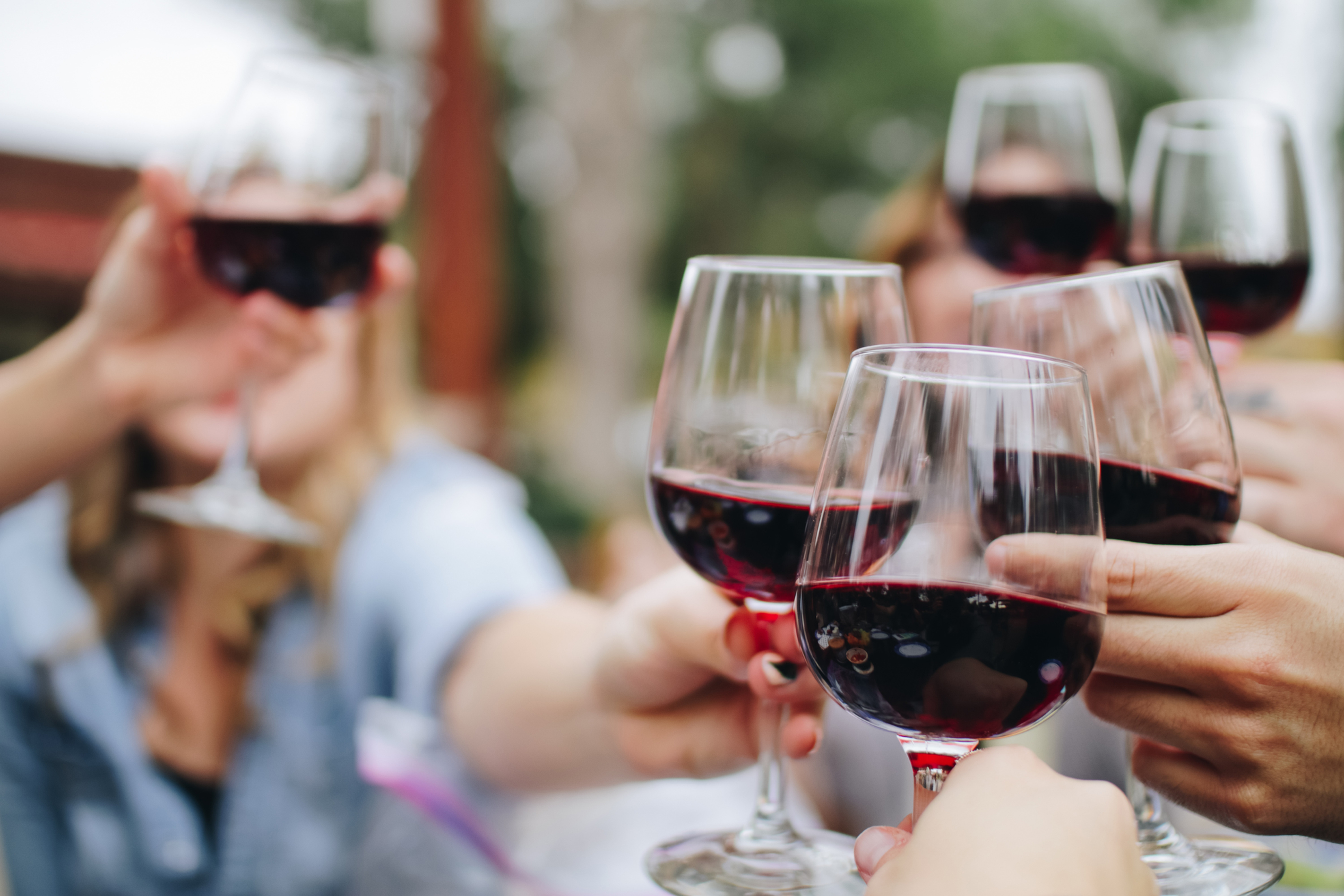 People toasting with red wine glasses. Happy moments, Europe, America, 45 Parallel Wine Dinner, celebration