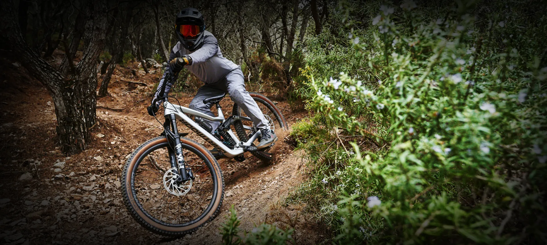 Dartmoor Philippines Mountain bikes