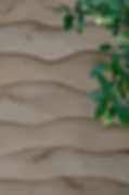 La Petite Forêt