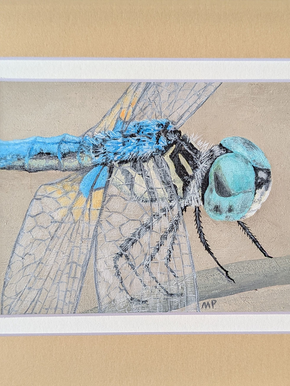 dragonfly body and head up close