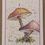 Thumbnail: 2 natural mushrooms notecard