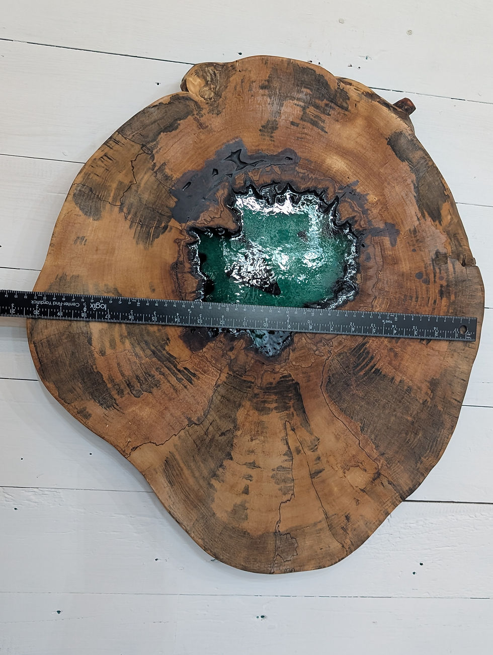 Thumbnail: Fossil Meg from Venice Beach in Pine with resin wall art 