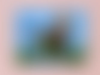 Investing in Creativity - Why Supporting Local Artists Matters