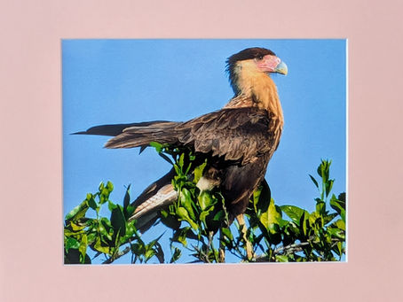 Investing in Creativity - Why Supporting Local Artists Matters