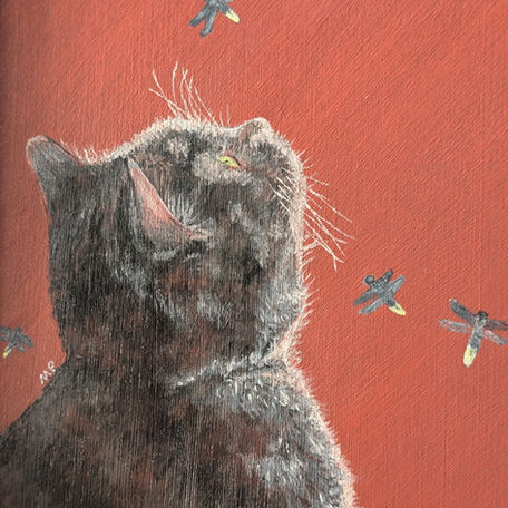 Cat looking up at lightning bugs