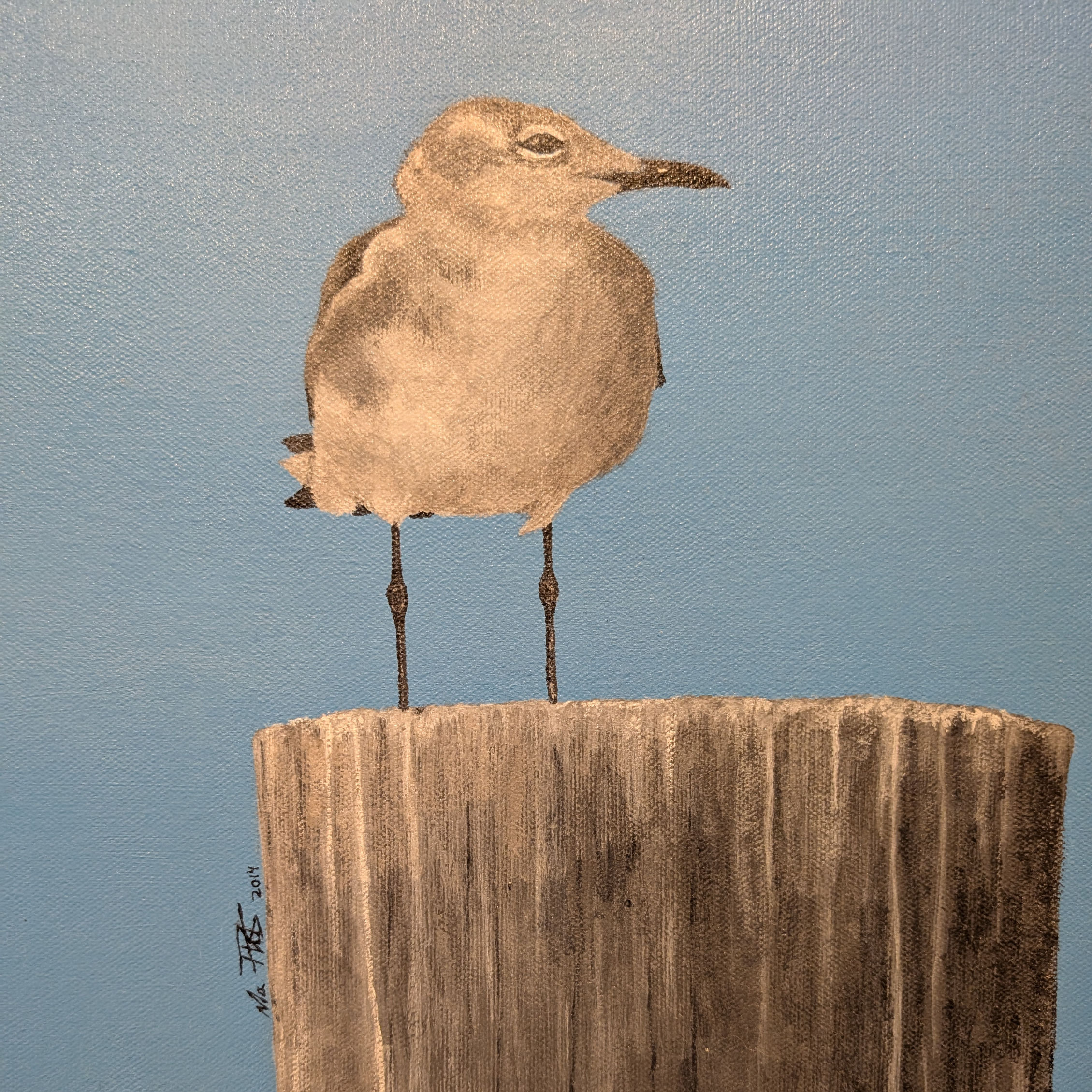 seagull on dock piling