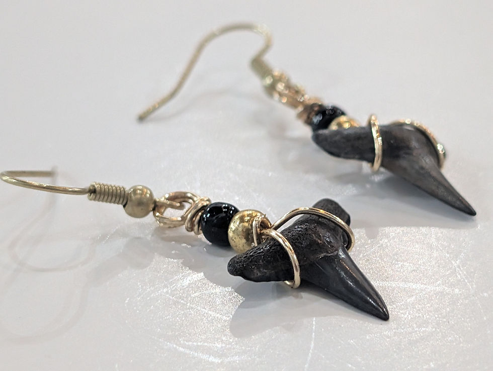 Thumbnail: peace river jewelry shark teeth