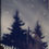 Thumbnail: Starry night landscape: dark trees, snow