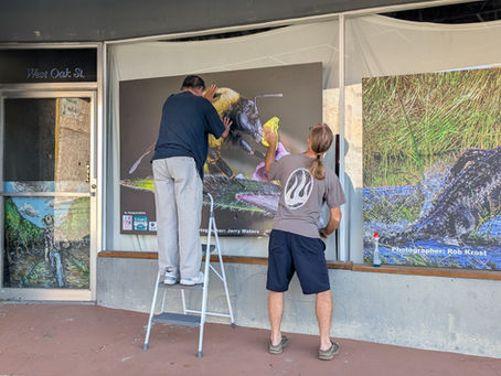 A Community in Bloom - Growing with Arcadia