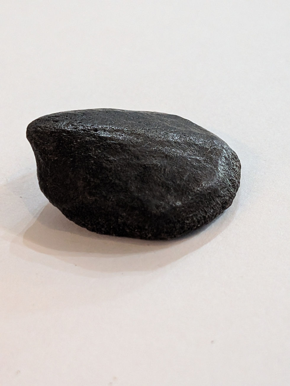 Thumbnail: fossilized foot pad 