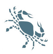 Parlons des Cancers et des Lions !