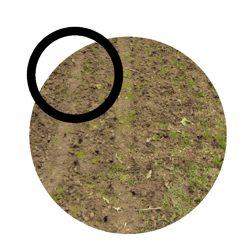 Coring.gif