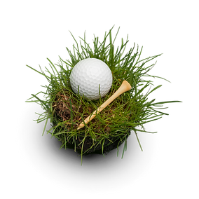 Company grounds - AMS Robotics (6).png