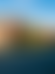 Do You Need a Monitored Alarm This Winter? What Insurers Expect