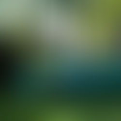 TH White Groundcare come on board as an AMS Regional Dealer