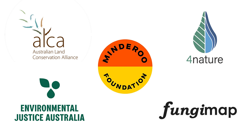 Welcoming 5 new members