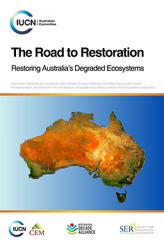 Restoration Report 2025 Cover.png