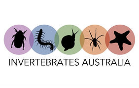 inverts-whitespace_edited_edited_edited_