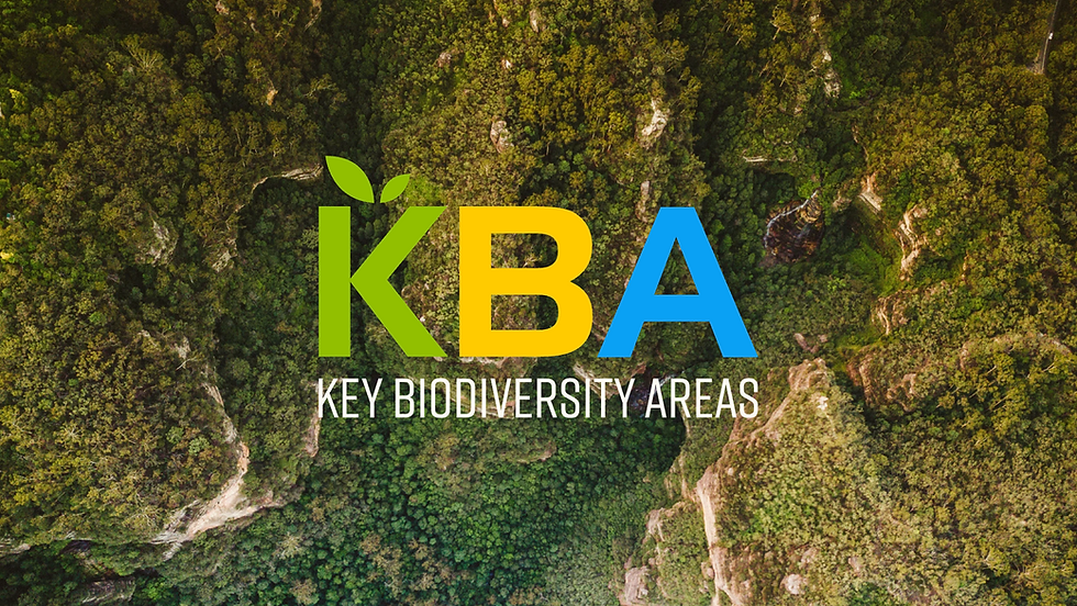 Video: Key Biodiversity Areas and 30x30