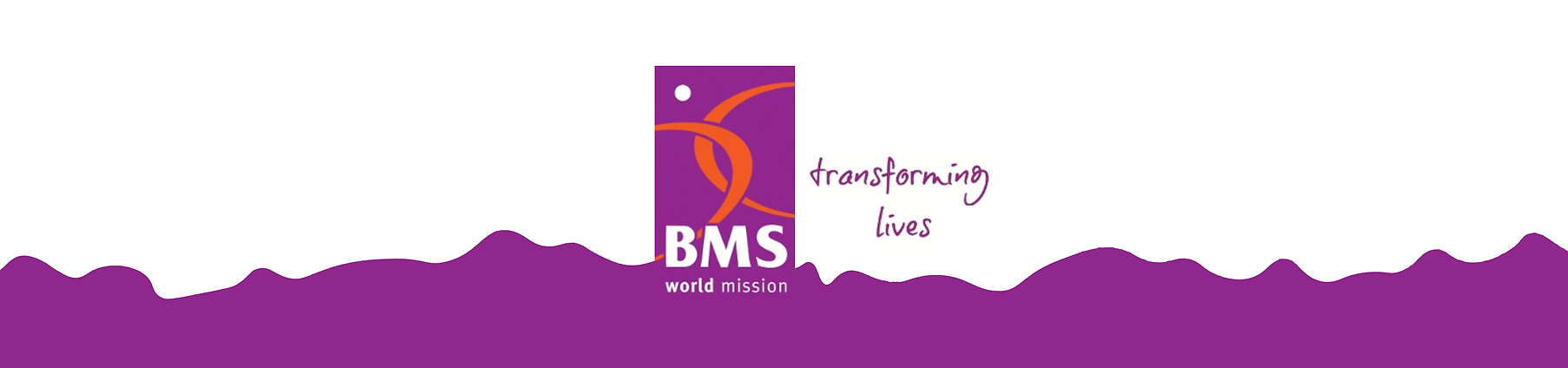 BMS strip.png