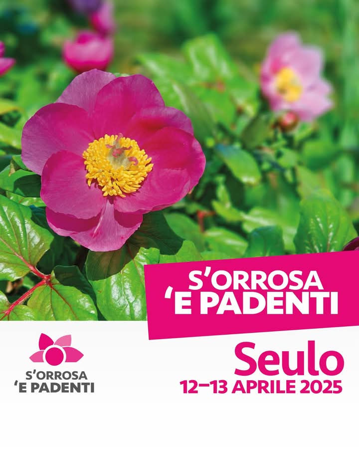 S' orrosa e padenti 2025