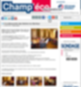 bonheur, science du bonheur, Florence Servan Schreiber, coach professionnel, certification coach, formation coach, zenpro, psychologie positive, Anelor Dabo, Cécile Neuville, formation en ligne, animateur du bonheur, formateur sur image